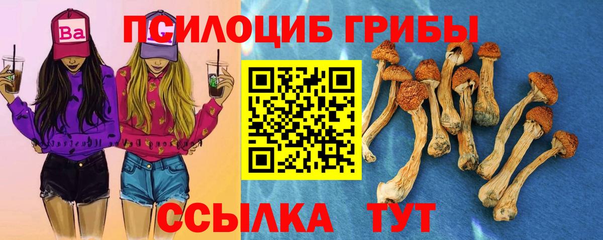 Великий Новгород  закладки  Вход с VPN  Псилоцибиновые грибы ЛСД 