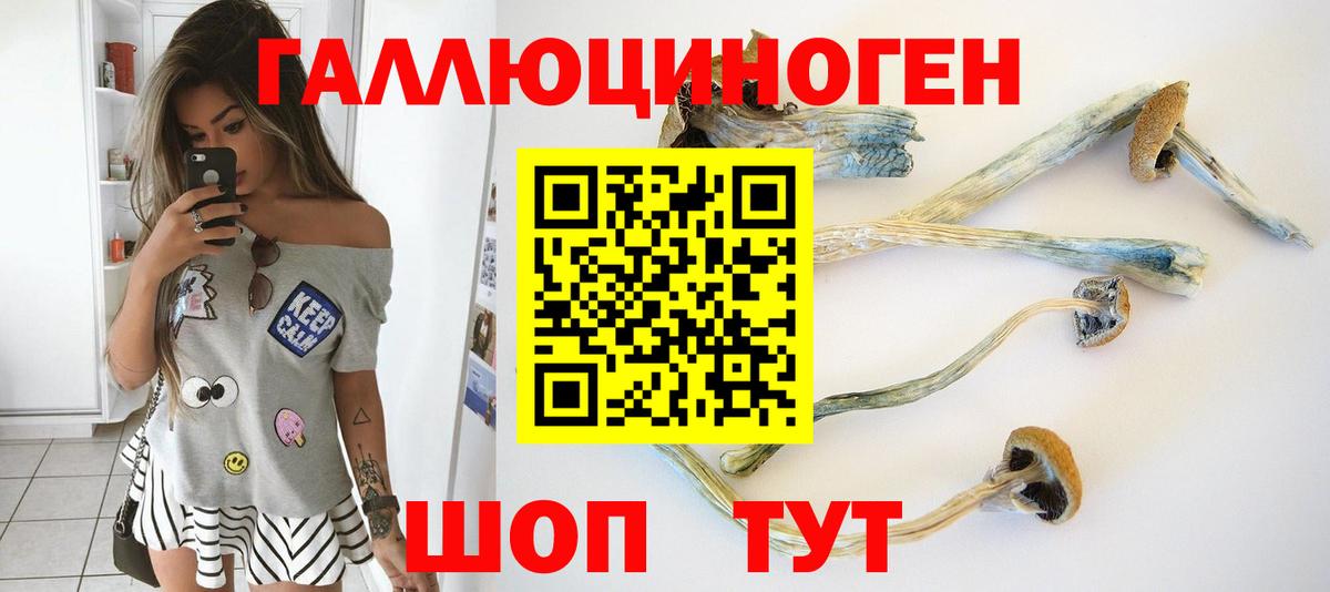 Галлюциногенные грибы Psilocybe Великий Новгород