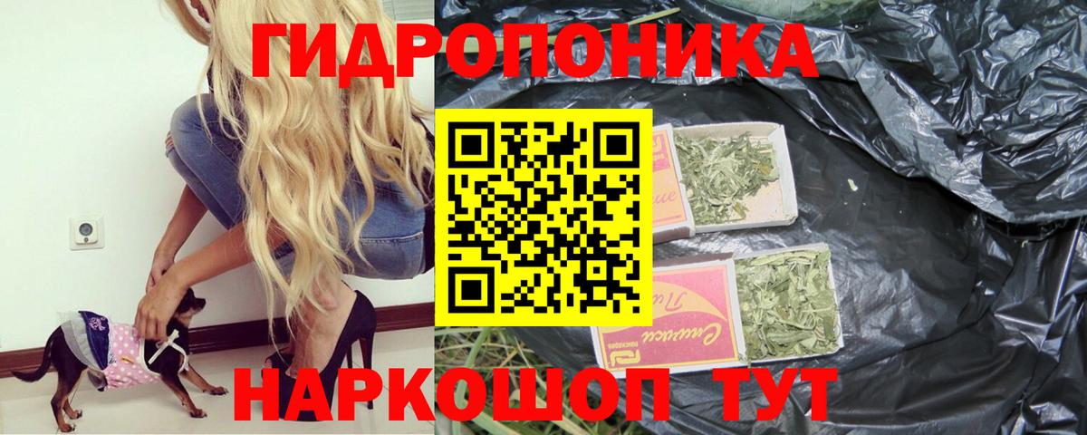 Великий Новгород  Каннабис сатива  Каннабис MAZAR  Вход с VPN 